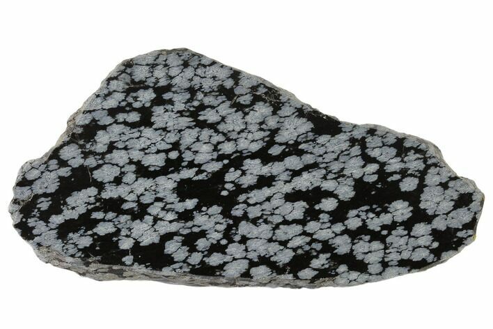 Polished Snowflake Obsidian Section - Utah #117781